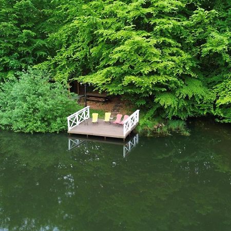 Pintea Chalet Baia Sprie Exterior foto