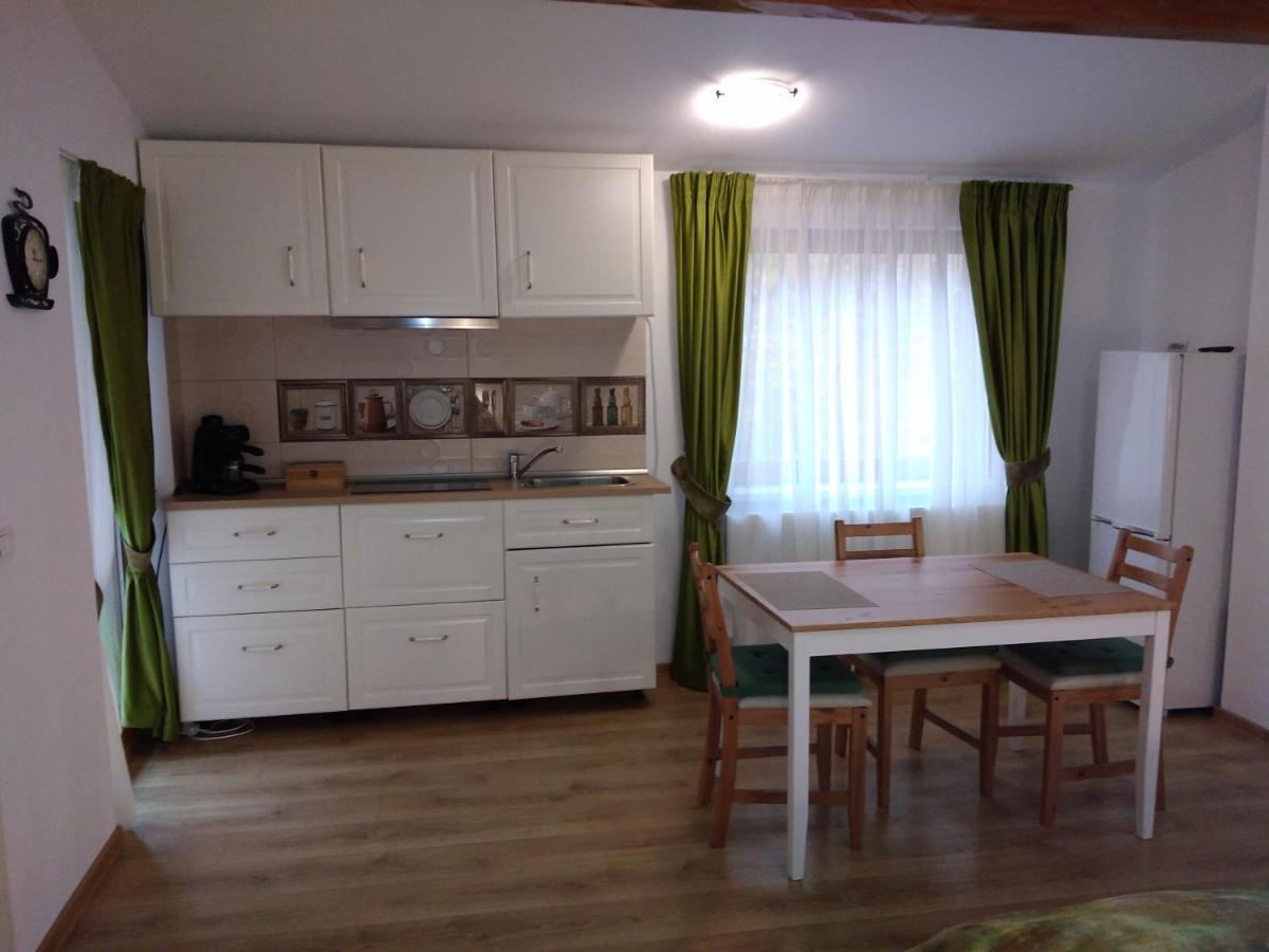Pintea Chalet Baia Sprie Exterior foto