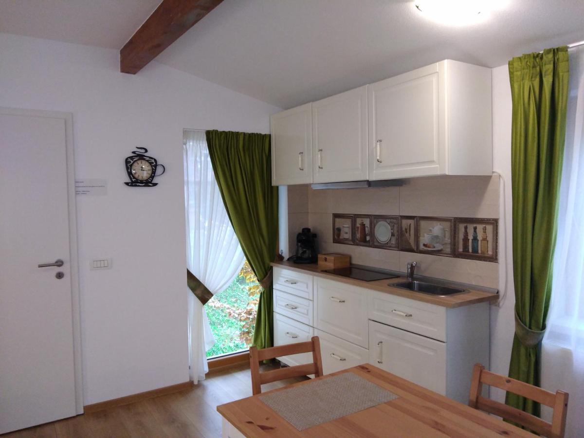 Pintea Chalet Baia Sprie Exterior foto