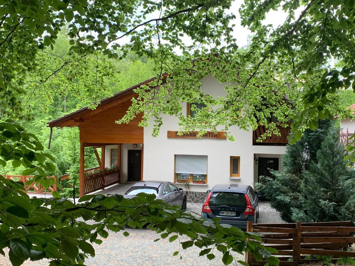 Pintea Chalet Baia Sprie Exterior foto