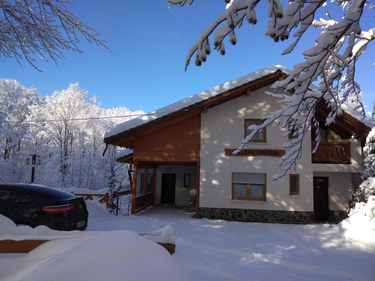 Pintea Chalet Baia Sprie Exterior foto