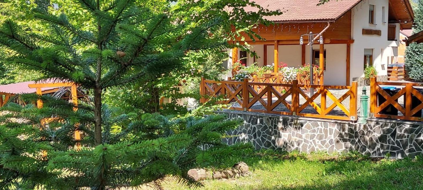 Pintea Chalet Baia Sprie Exterior foto