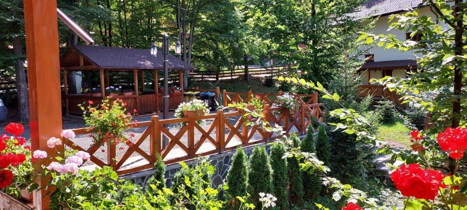 Pintea Chalet Baia Sprie Exterior foto