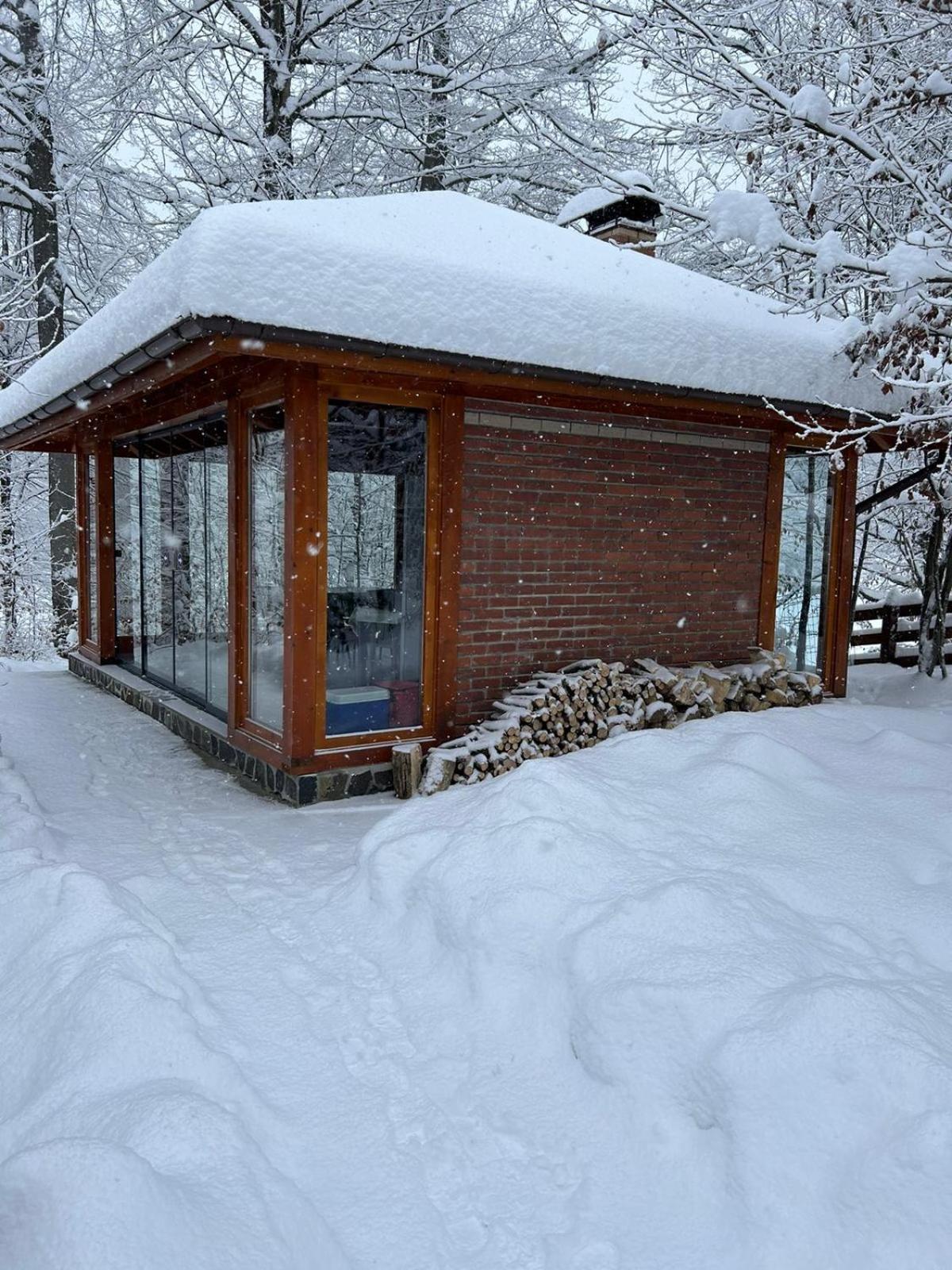 Pintea Chalet Baia Sprie Exterior foto