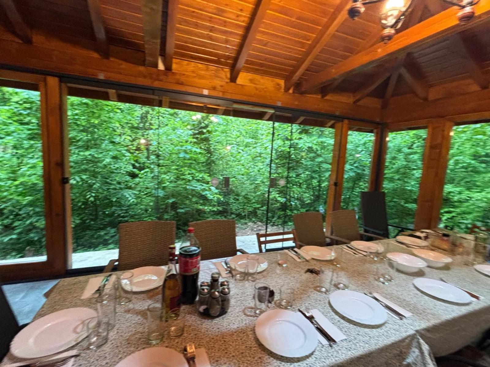 Pintea Chalet Baia Sprie Exterior foto
