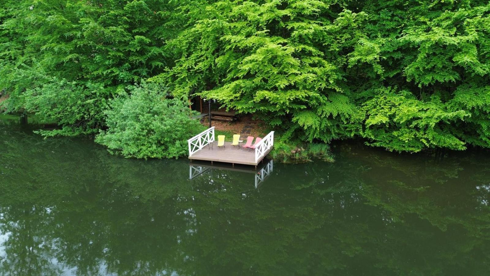 Pintea Chalet Baia Sprie Exterior foto