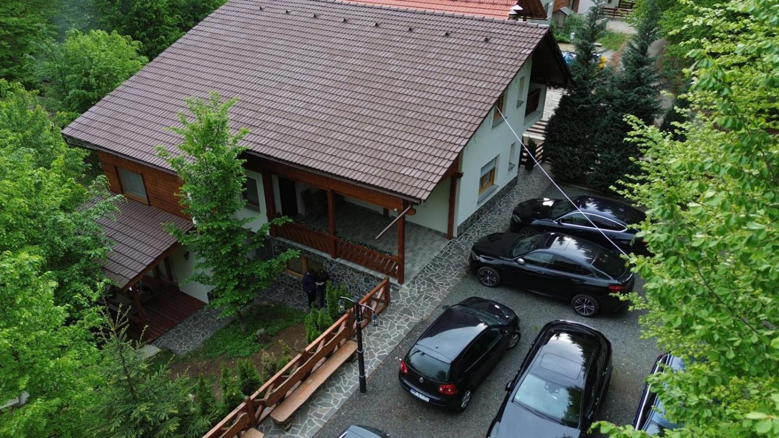 Pintea Chalet Baia Sprie Exterior foto