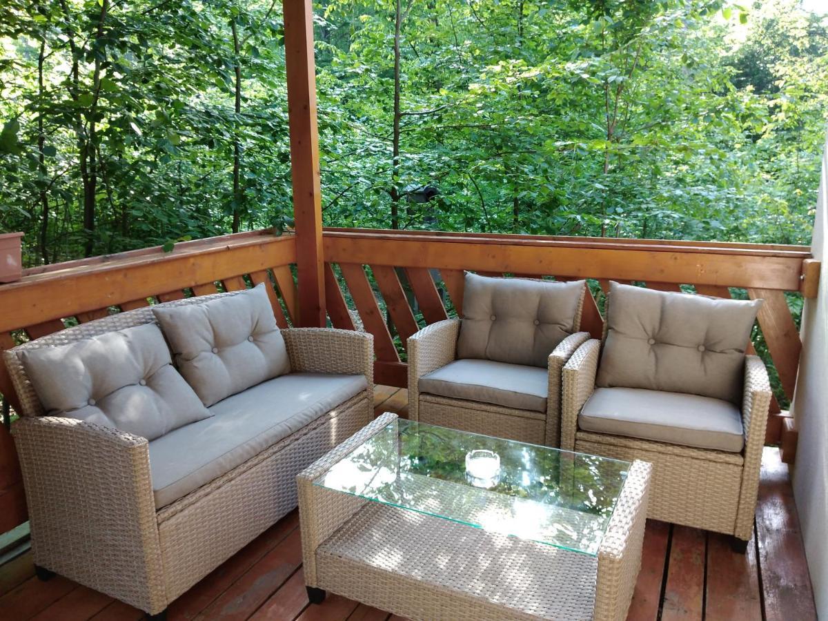 Pintea Chalet Baia Sprie Exterior foto